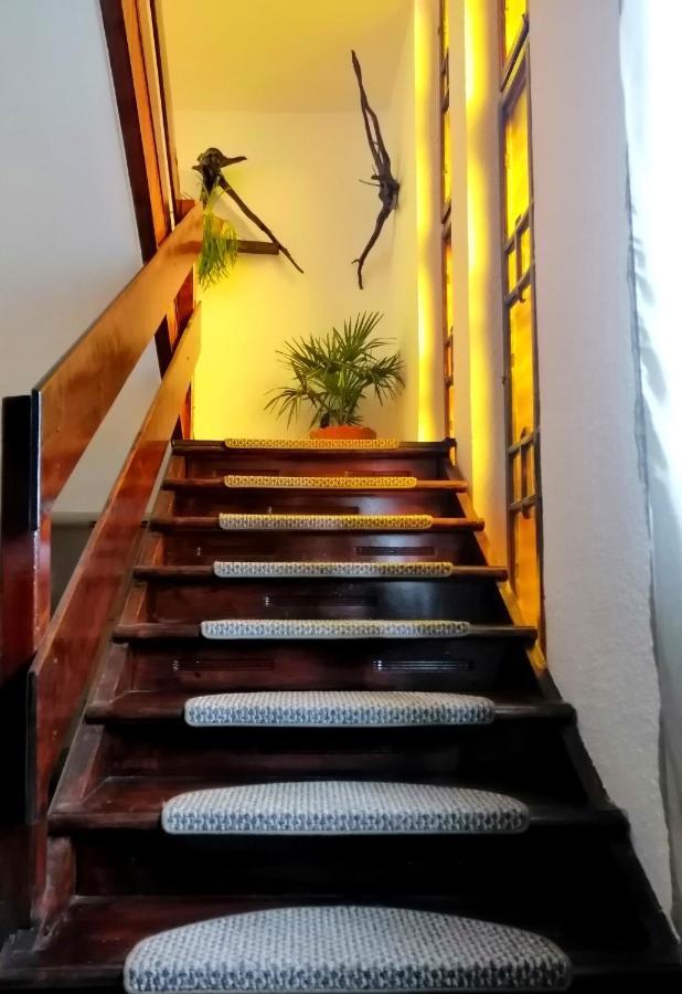 Apartament Sarco Villa Ватра Дорней Екстериор снимка