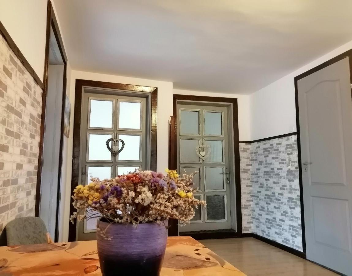 Apartament Sarco Villa Ватра Дорней Екстериор снимка