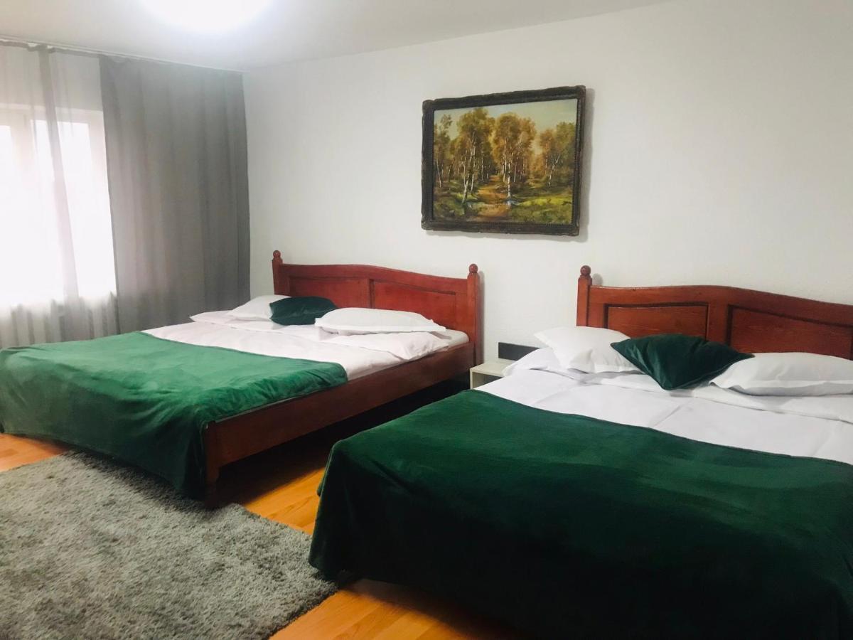 Apartament Sarco Villa Ватра Дорней Екстериор снимка